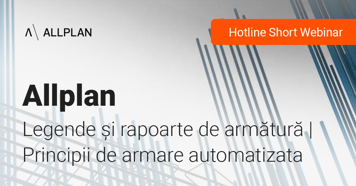 Legende si rapoarte de armatura - principii de armare automatizata