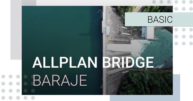 Poza produs Allplan Bridge - Modelarea parametrica a barajelor 