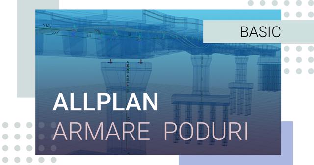 Poza produs Allplan Inginerie Armare Poduri
